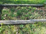 image of grave number 631830